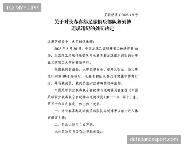 辱骂裁判的判罚规则详解：处罚标准与执行流程解析